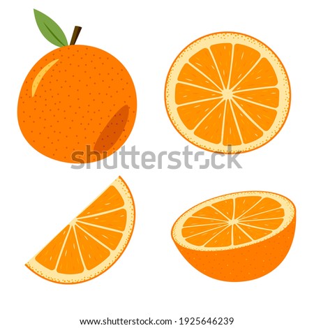 A set of orange, whole and cut. Colored cartoon orange isolated objects on a white. Royalty-Free Stock Photo #1925646239
