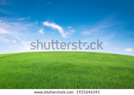 green grass field with blue sky ad white cloud. nature landscape background Royalty-Free Stock Photo #1925646341