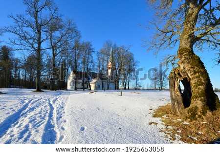 Winter landscape with old tree and park and Lutheran church at a distance