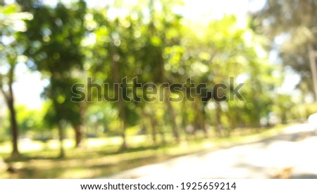 a path combined by unfocused but very nice trees 