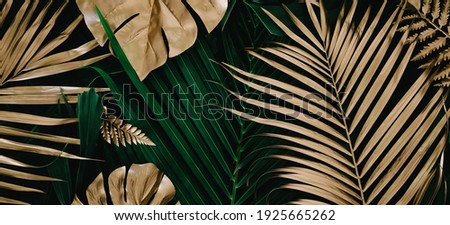 Creative nature background. Gold and green tropical Monstera and palm leaves. Minimal summer abstract jungle or forest pattern.