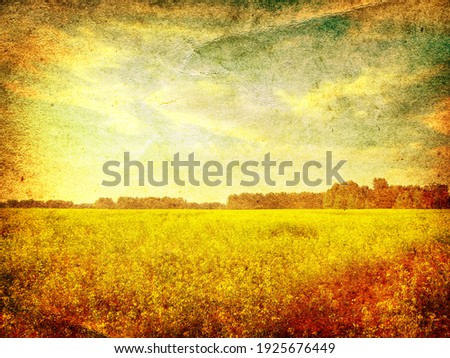 Stylized Retro Photo with Summer Field and Sunlight