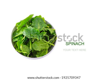 Creative layout . Food concept. A ceramic white bowl of Spinach on white background. A pile of fresh spinach isolated on white copy space , top view
