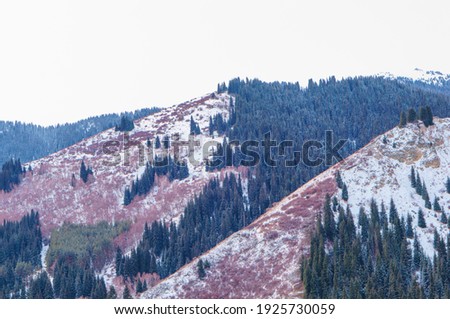 Beautiful winter landscape in the mountains. Mountains with snow and fir trees. A little-visited tourist route without ice.