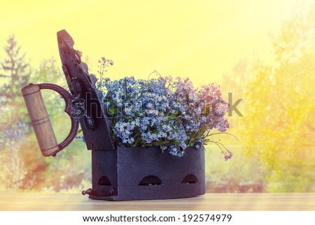 Old cast-iron with flowers in the morning