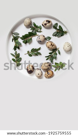 
creative picture on the theme of Easter. a circle containing eggs and leaves. copy space