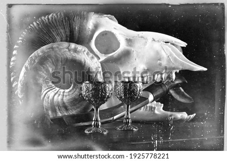 Old retro style vintage still life picture with white animal skull placed on table. Traditional ancient blade "kukri" in skull mouth. Lots of scratches and age parks on the photo film surface. 
