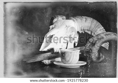 Old retro style vintage still life picture with white animal skull placed on table. Ancient blade in skull mouth. Coffee mug placed nearby. Lots of scratches and age parks on the photo film surface. 