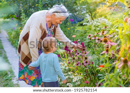 Senior lady playing with little boy in blooming garden. Grandmother with grand child  looking and admiring flowers in summer. Kids gardening with grandparent. great-grandmother and great-grandson. Royalty-Free Stock Photo #1925782154