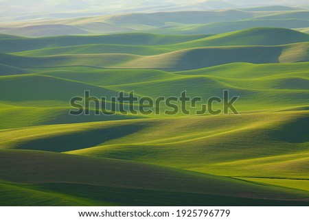 Undulating, rolling green wheat fields of the Palouse area of Washington state in spring
 Royalty-Free Stock Photo #1925796779