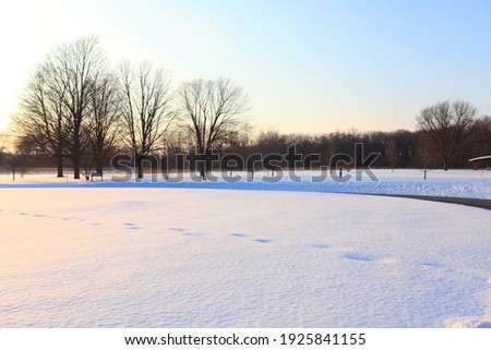 Winter landscape - traces in the snow, a road and trees in the background