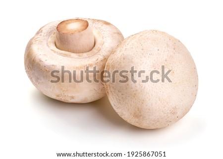 Champignons, close-up, isolated on white background. High resolution image.