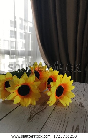 picture close up of a bouquet of sunflowers with a background of windows and curtains.Picture contain blur,grain and noise.
