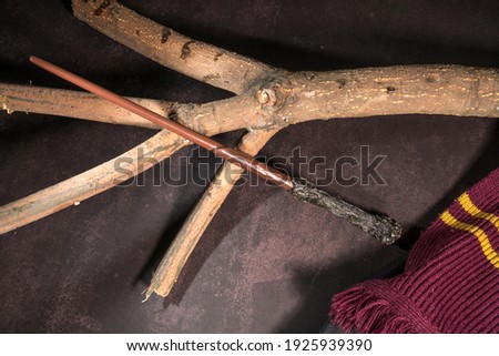 Magic Wizards wand for fantasy story. The wizard's wand with an old branch tree placed on the wooden background.