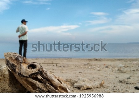 old wood with a sea background and a blurry man
