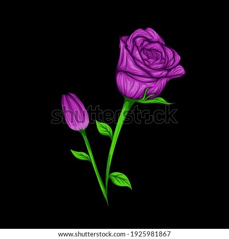 Purple Roses Flower Vector isolated on Blank Background