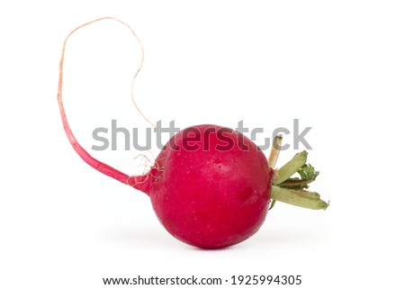 Red radish isolated on white background. Royalty-Free Stock Photo #1925994305