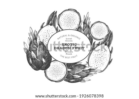 Hand drawn dragon fruit design template. Organic fresh food vector illustration. Retro pitaya fruit banner.