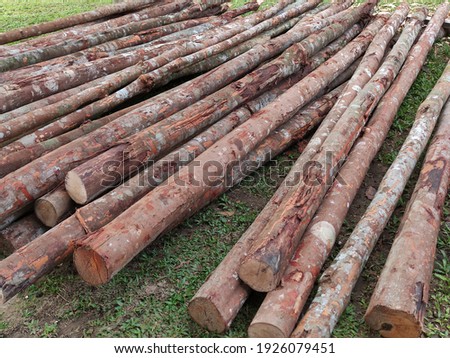 Freshly chopped tree logs stacked up on top of each other in a pile