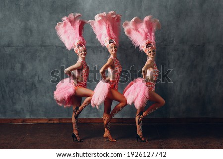 Women in cabaret costume with pink feathers plumage dancing samba Royalty-Free Stock Photo #1926127742