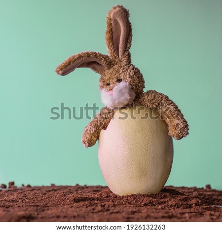 Easter bunny, happy rabbit soft-toy sitting in a large ostrich egg. Soft green background with copy space.