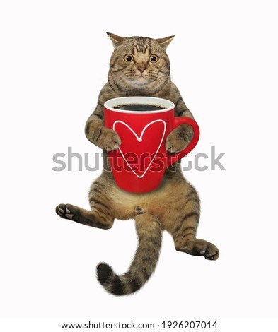 A beige cat drinks black coffee from a red cup. White background. Isolated.