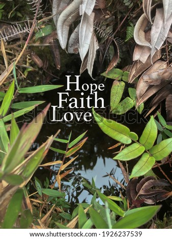 Quote - Words with Hope, Faith and Love on nature background.