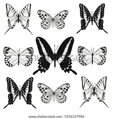 black and white butterflies set