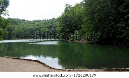 lake surrounded by green trees on a summer day in the park side view