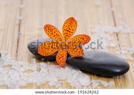 Beautiful orchid and pebbles with pile salt on old wood