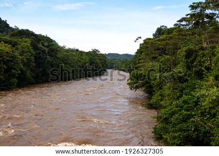 A beautiful view over the Amazon rainforest in Ecuador, South America