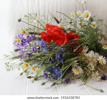 A large bouquet of multi-colored wildflowers on a white background, cornflowers, chamomile, poppies, spring, summer