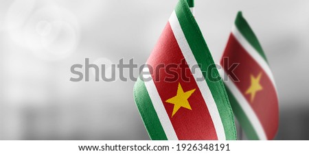 Small national flags of the Suriname on a light blurry background