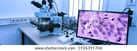 Modern microscope station with tissue section on the screen Royalty-Free Stock Photo #1926391706
