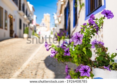 Flowers in a street of Altea