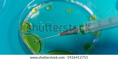 A syringe on a Petri dish with different substances.