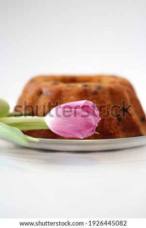 Photo for the Easter holiday. Food photo of a festive cake and a pink tulip flower on a white background. Bakery product with raisins. Cupcake on a plate.

