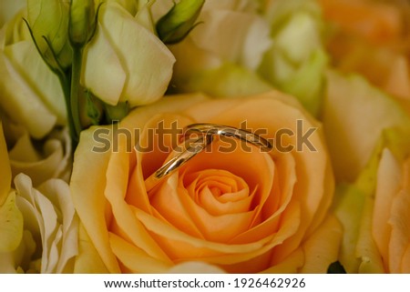 wedding rings close up on yellow roses
