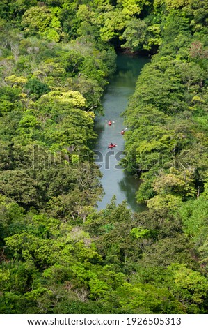 Aerial view of tourists kayaking among the lush tropical mangrove forest. Iriomote Island. Royalty-Free Stock Photo #1926505313