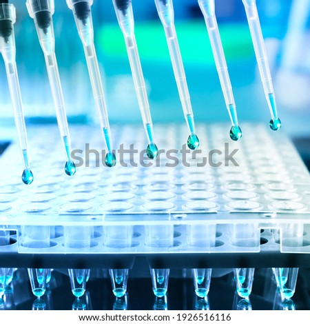 Tools for DNA amplification, automatic loader and 96-well plate for setting up reactions Royalty-Free Stock Photo #1926516116