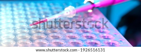 Tools for PCR amplification of DNA: 96-well plate and automatic pipette Royalty-Free Stock Photo #1926516131