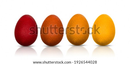 Easter eggs isolated on a white background. High quality photo