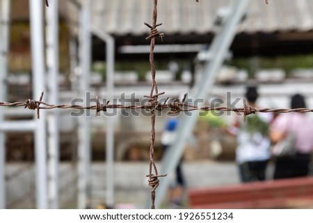 The pattern barbed wire fence
