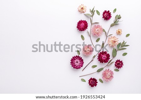Flower composition. Eucalyptus branches and dry flowers on white background. Flat lay. Top view. Copy space - Image