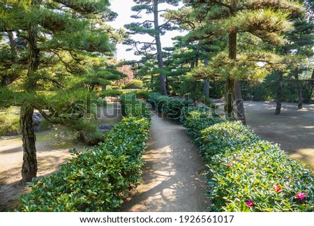 Camellia promenade with in japanese garden , Takamatsu city, kagawa, Shikoku, Japan
