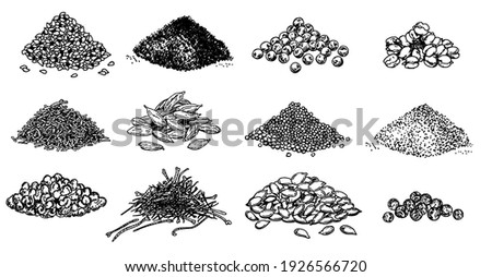 Piles of spices. Black pepper, sesame seeds, poppy seeds, caraway seeds, saffron, marjoram, cumin, cardamom. Spices set. Natural seasoning and cooking ingredient. Vector sketch on white background Royalty-Free Stock Photo #1926566720