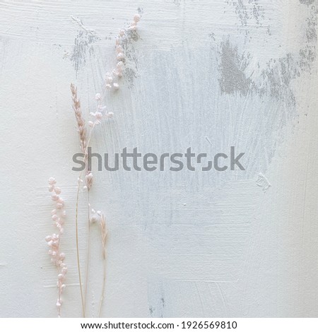 Painted and Textured Background with Dried Blush Flowers
