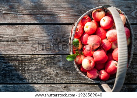 Juicy red apples in a basket on a textured table background, top view, flat lay. Space for text. Apple harvest theme Royalty-Free Stock Photo #1926589040