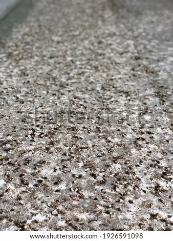 Selective focus bird droppings on cement background.