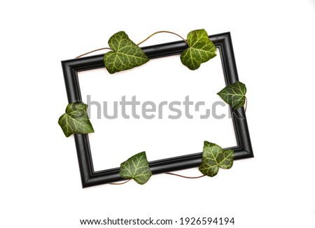 Ivy leaves with wooden black frame, background is white with free space inside of frame for text or design. 